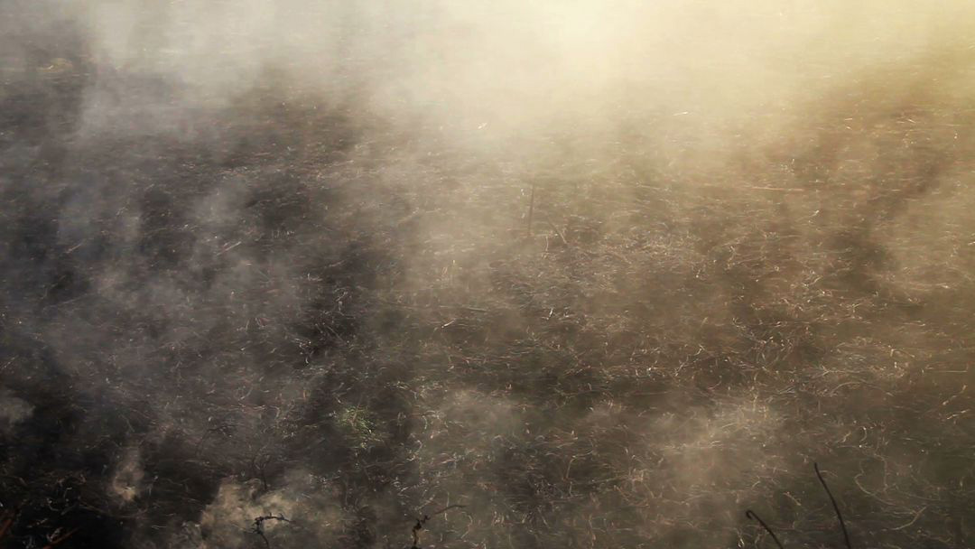 Smoke Poster