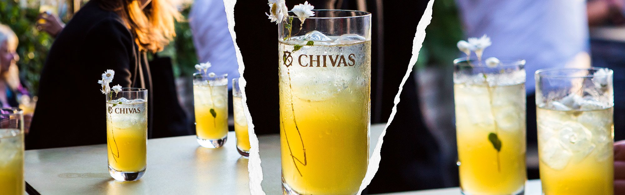 Chivas Regal Newsletter